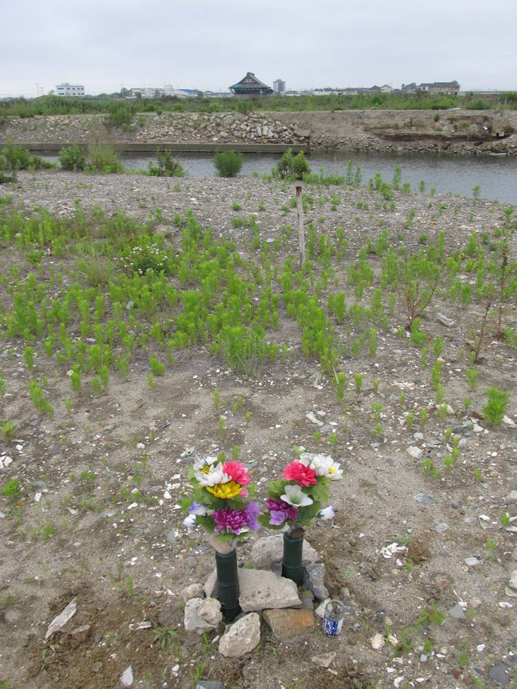 名取川右岸　貞山堀