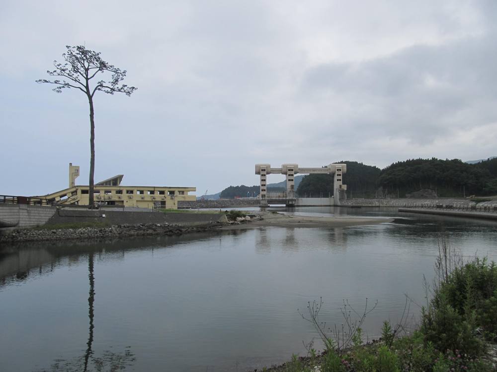 奇跡の一本松　気仙川