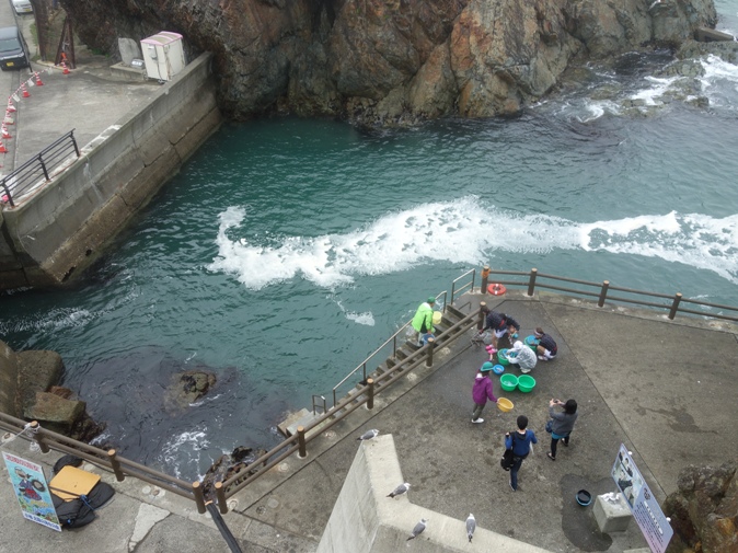 小袖海女センター