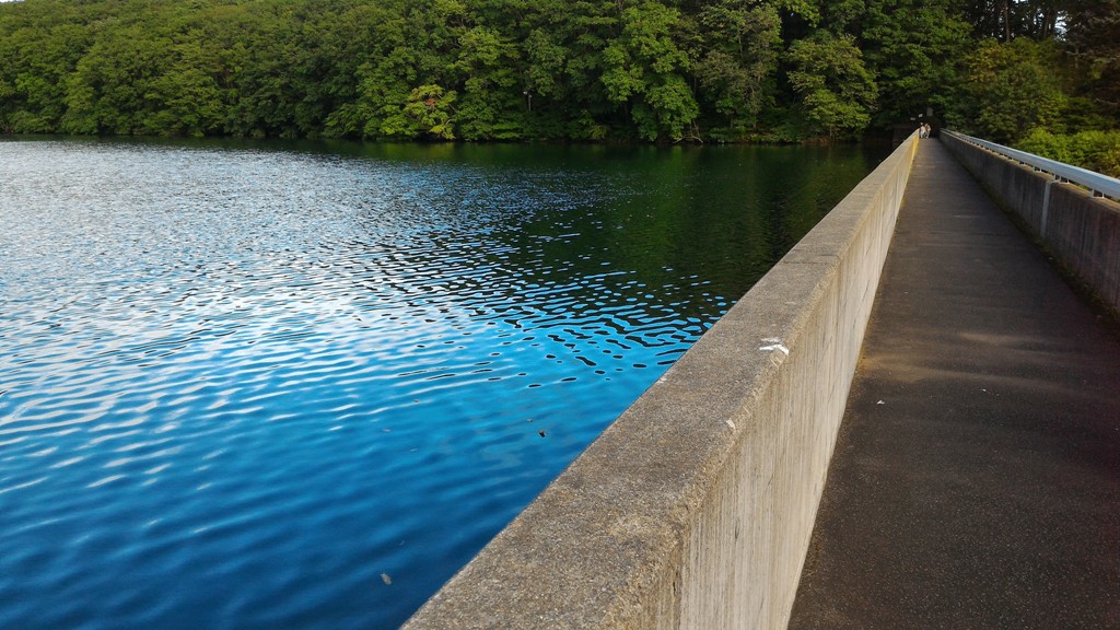 笹流(ささながれ)堰堤　上