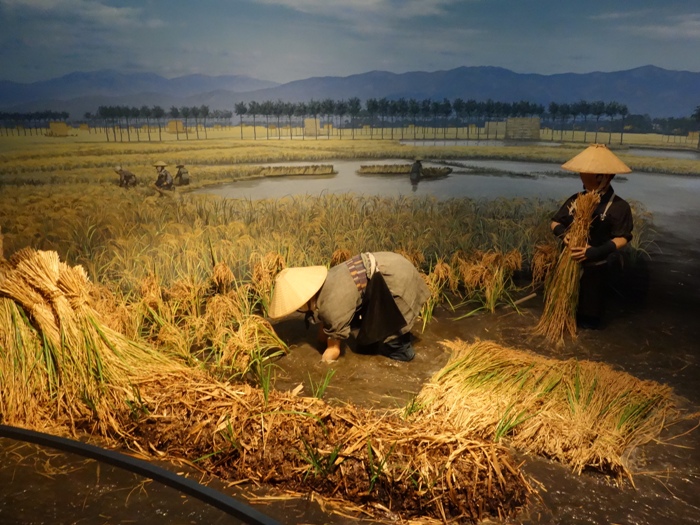 みなとぴあ　田植え風景のジオラマ
