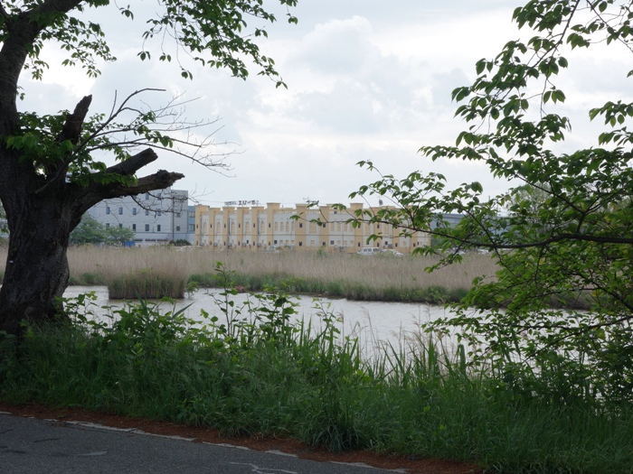 鳥屋野潟のラブホテル