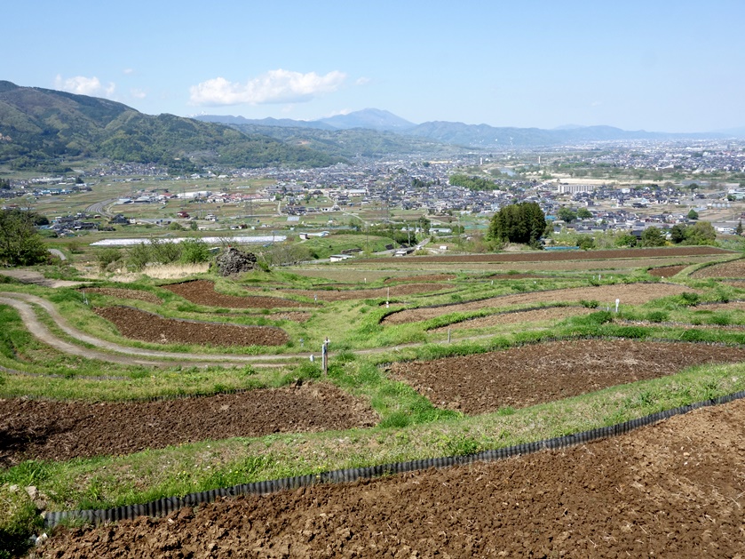 姨捨の棚田