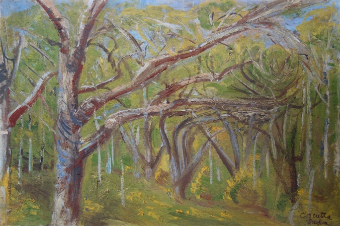 須田剋太『雑木林』