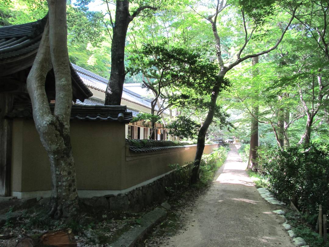 高貴寺への道