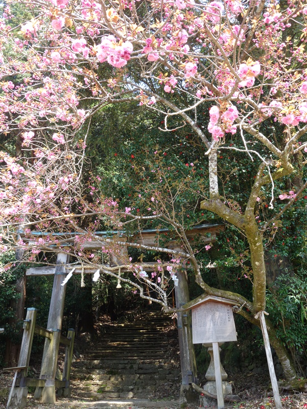 清和天皇社への上がり口