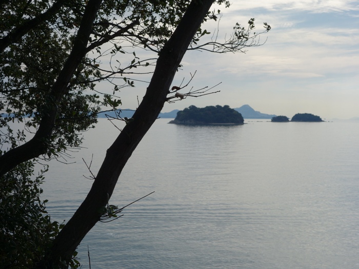 藻振鼻から唐荷島