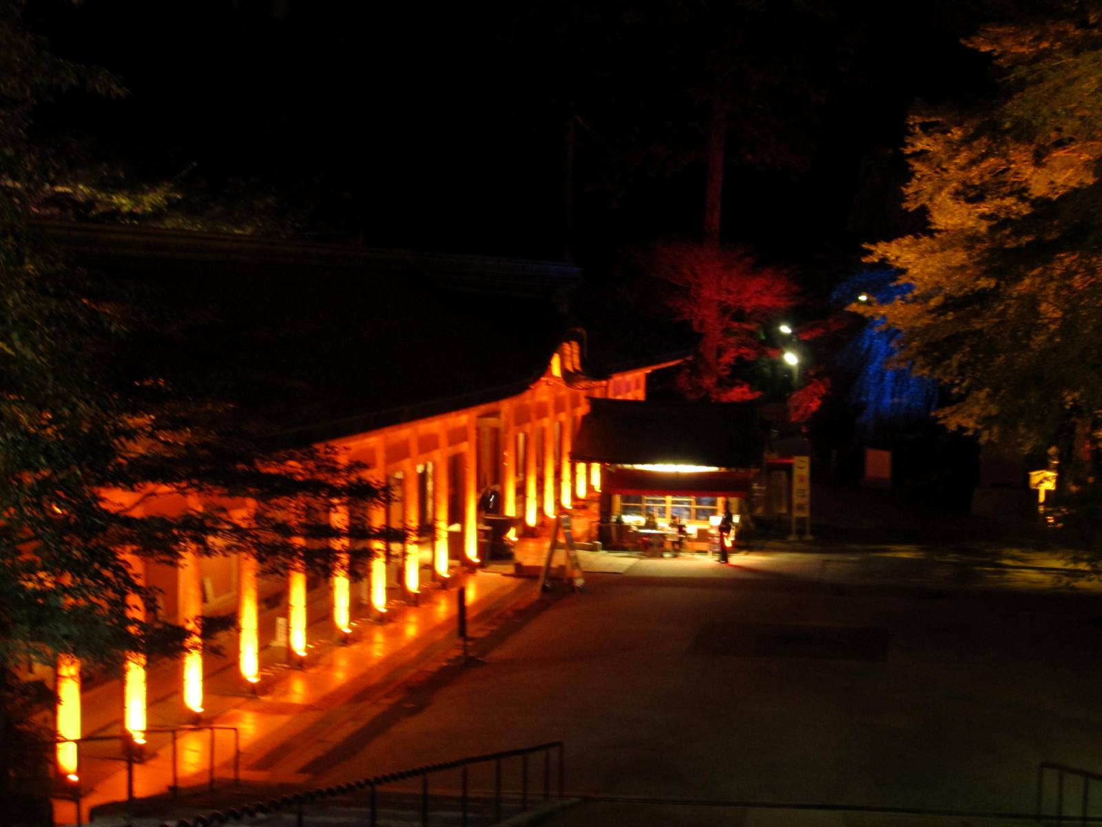 延暦寺根本中堂の夜景