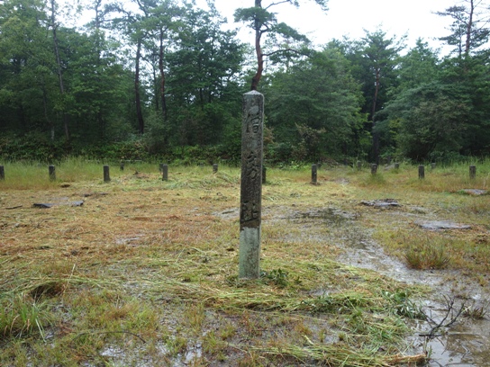 紫香楽宮跡(しがらきぐうし)