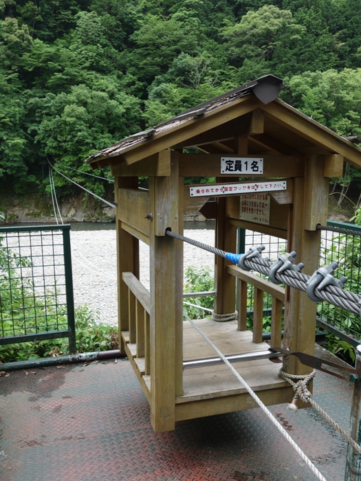 十津川を渡る野猿