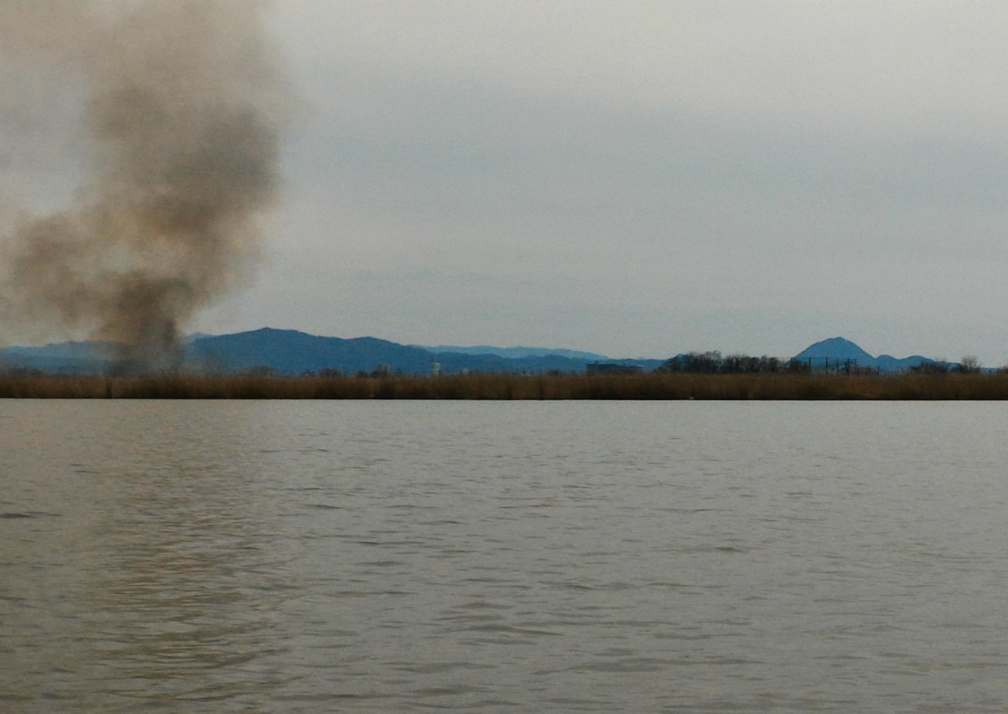 西の湖から、ヨシ焼きの煙、近江富士の遠望