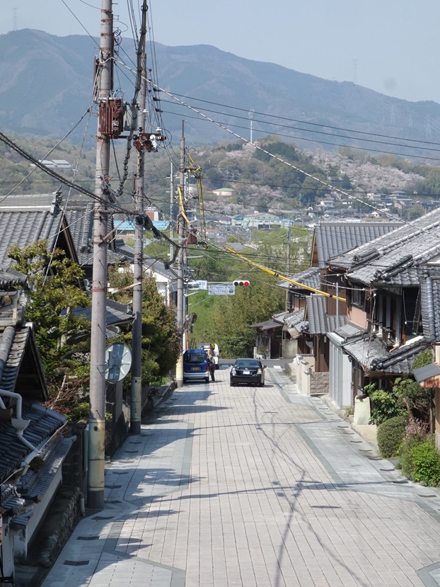 慈尊院より紀の川を見る