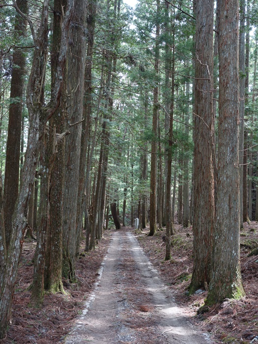 眞別所への参道