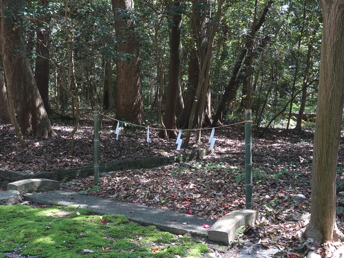 日前神宮・國懸神宮（ひのくまじんぐう・くにかかすじんぐう）