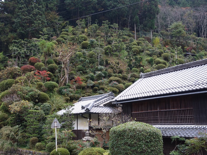 鎌田家の立体的な庭
