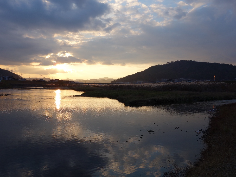 合流点ウォッチング：江の川と多治比川