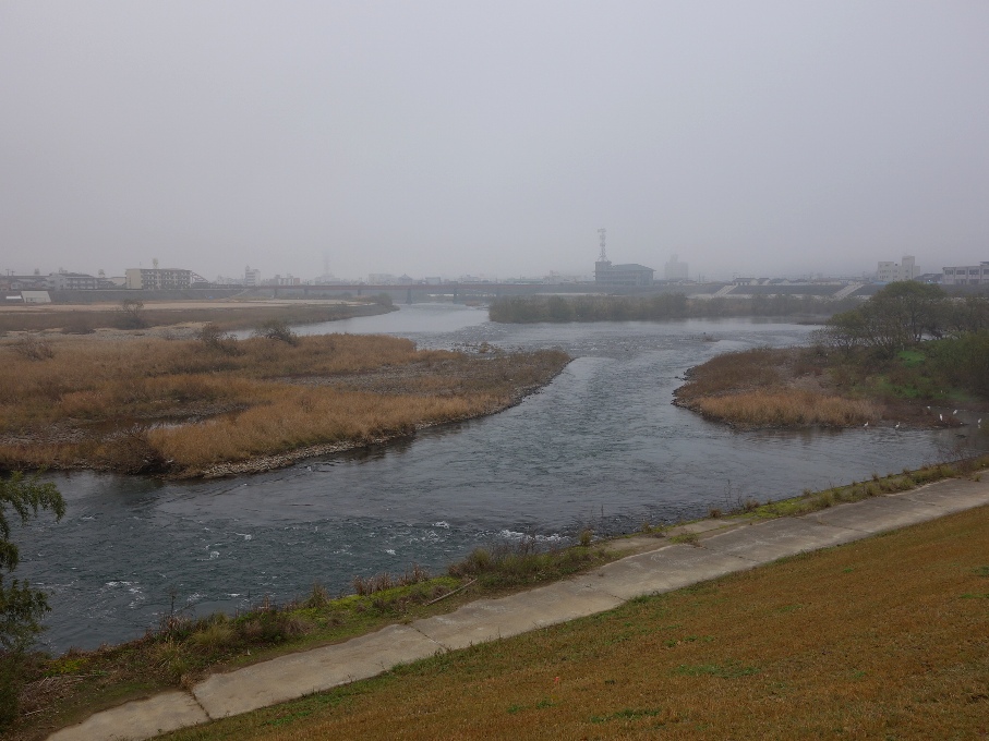 江の川と馬洗川の合流点