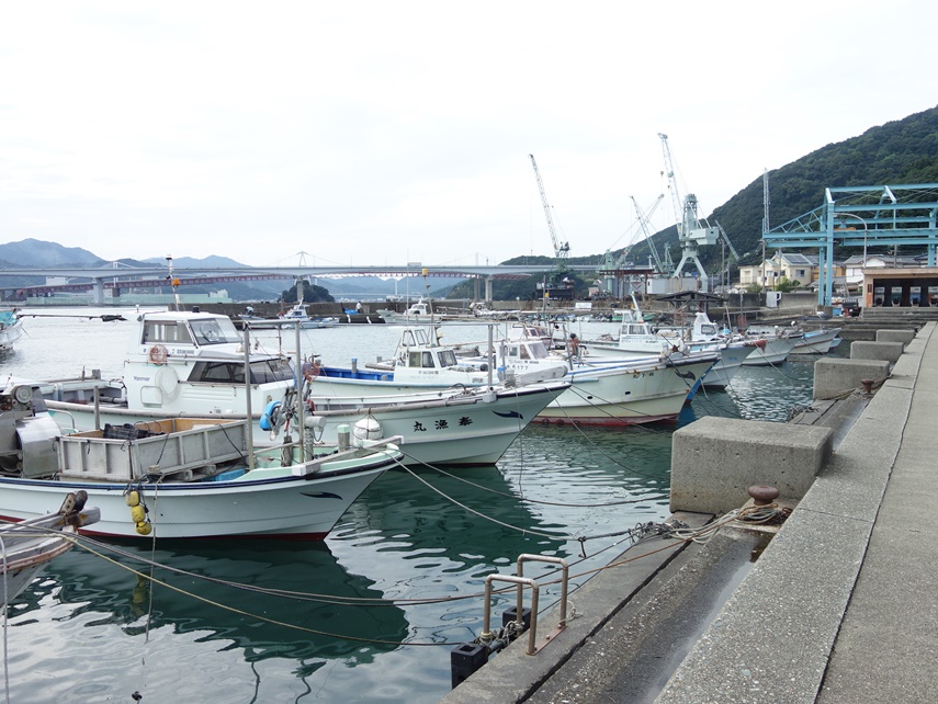 鳴門町土佐泊浦（なるとちょうとさどまりうら）