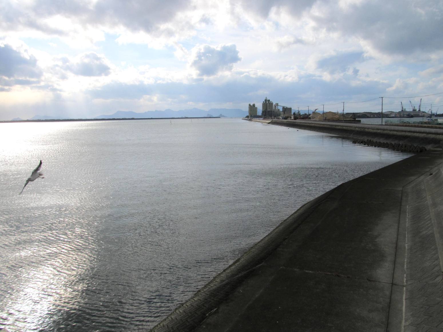 河口ウォッチング-球磨川