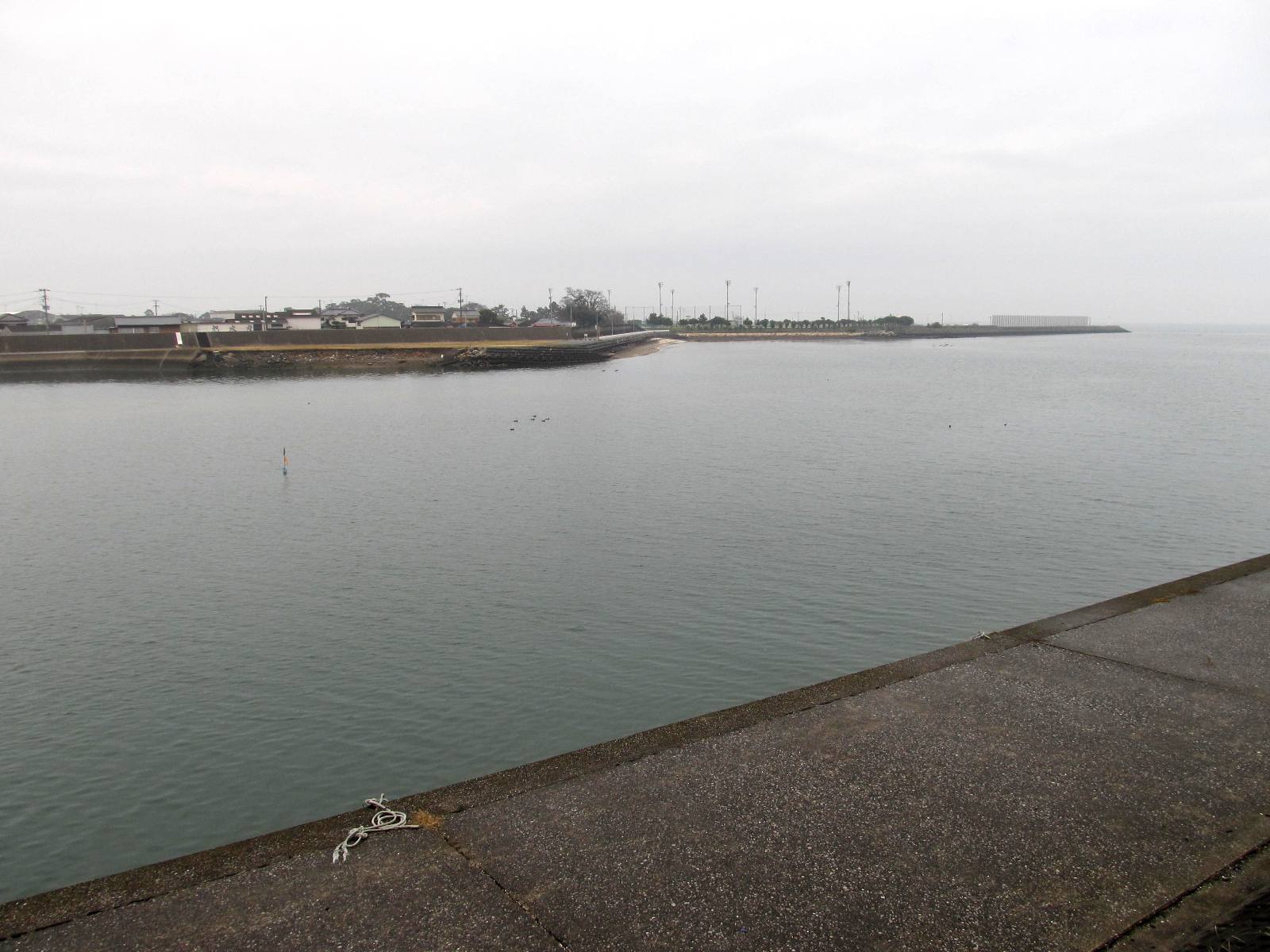 河口ウォッチング・山国川