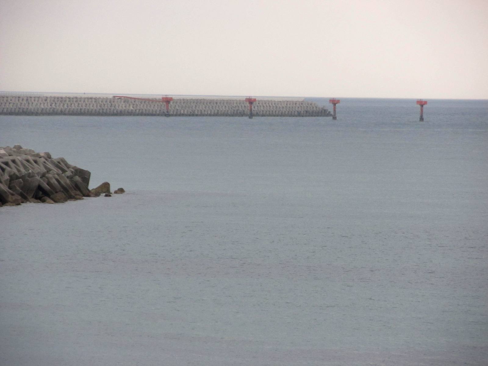 河口ウォッチング・安岐川