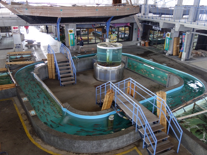 うしぶか海彩館の水槽と船