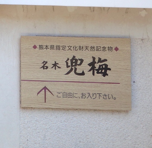 兜梅に導く矢印