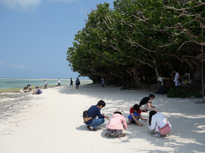 竹富島　星砂の浜