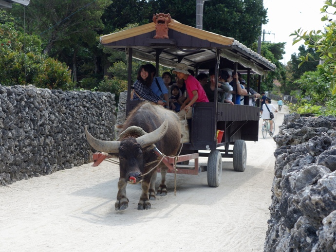 牛車観光