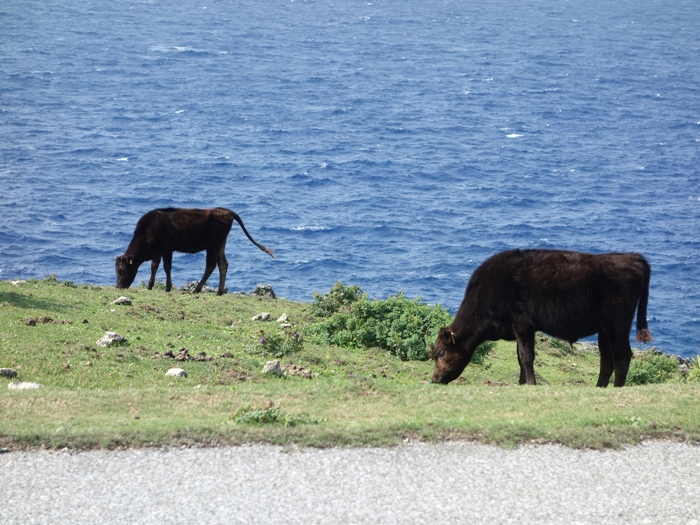 与那国島の海辺