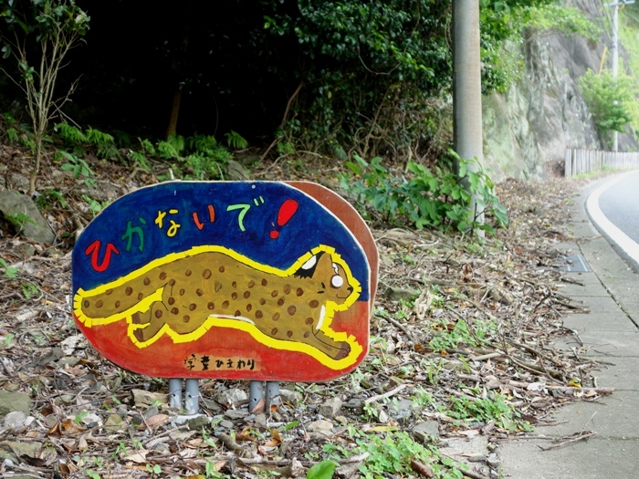 ツシマヤマネコに注意