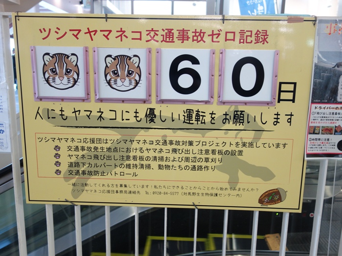 ツシマヤマネコの交通事故の無事故日数