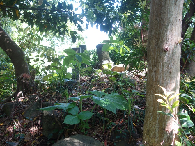雪連宅満（ゆきのむらじやかまろ）の墳墓