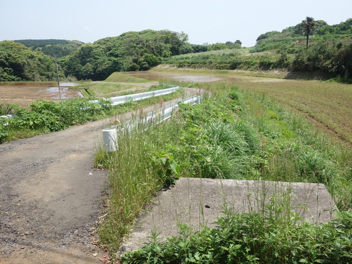 カラカミ遺跡の近くの水神
