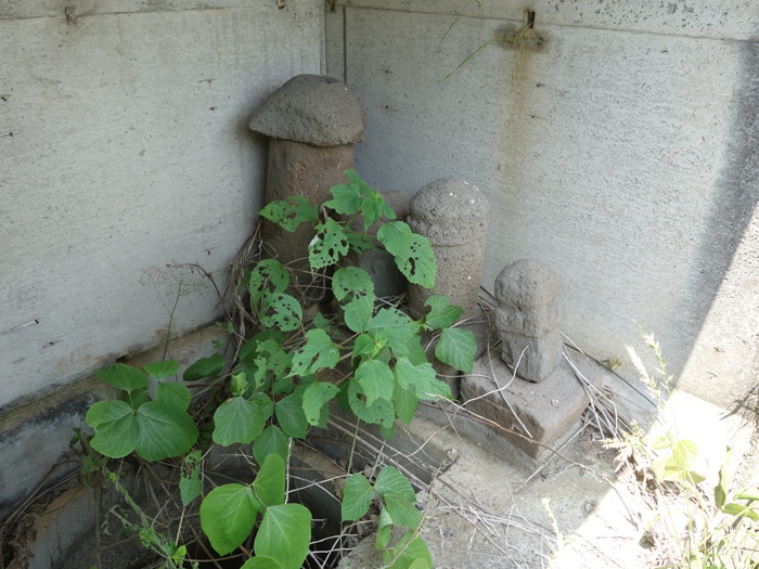 カラカミ遺跡の近くの水神