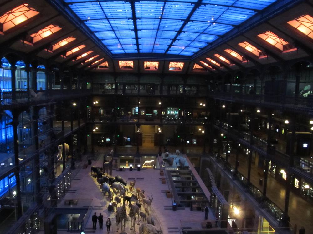 進化大陳列館・内部